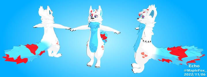 Echo ( November 6th )