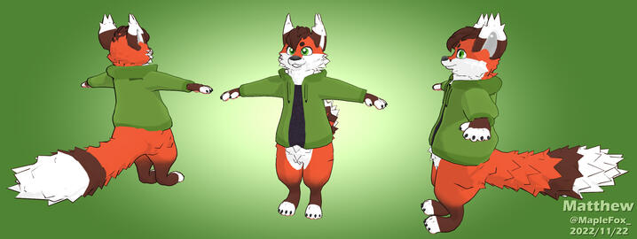 Matthew ( November 22nd )